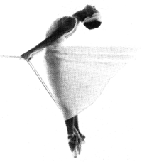 momix01.Gif (17303 byte)