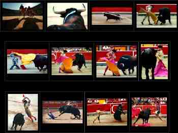 corrida.jpg (11067 byte)