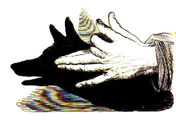 sin12.jpg (17211 byte)