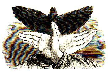 sin13.jpg (28821 byte)